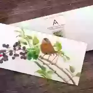 Wren Greetings Card (Special Edition)